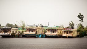 Dal Lake Jammu Kashmir, Indien im Mai 2018 - Dal See nannte Srinagars Juwel f?r TourismusErholungsst?tte Es ist ein Sumpfgebietsc lizenzfreie stockbilder Dal Lake Jammu Kashmir, Indien im Mai 2018 - Dal See nannte Srinagars Juwel f?r TourismusErholungsst?tte Es ist ein Sumpfgebietsc lizenzfreie stockbilder