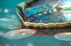 Daling van waterplons in paua kleurrijke shells Stock Afbeelding Daling van waterplons in paua kleurrijke shells Stock Afbeelding