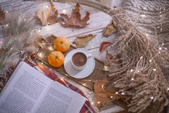 Dalings comfortabele dag met boek stock foto's Dalings comfortabele dag met boek stock foto's