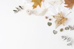 Dalings creatieve gestileerde samenstelling De herfst bloemenregeling met droge eucalyptus, esdoornbladeren en zijdelint op wit stock fotografie Dalings creatieve gestileerde samenstelling De herfst bloemenregeling met droge eucalyptus, esdoornbladeren en zijdelint op wit stock fotografie