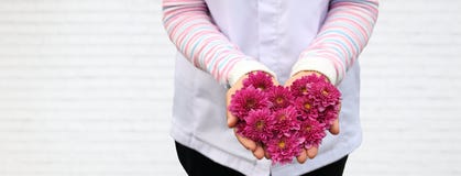 Dam som rymmer blomman för hjärtaformrosa färger på hennes hand på vit tegelstenbakgrund för förälskelse- och omsorgdesignbegrepp royaltyfria foton Dam som rymmer blomman för hjärtaformrosa färger på hennes hand på vit tegelstenbakgrund för förälskelse- och omsorgdesignbegrepp royaltyfria foton