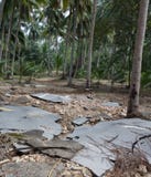 Damaged asphalt road in rural of Thailand after flood. Consequences of flood royalty free stock images Damaged asphalt road in rural of Thailand after flood. Consequences of flood royalty free stock images