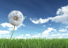 Dandelion royalty free illustration Dandelion royalty free illustration