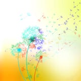 Dandelion on multicolored background - vector.