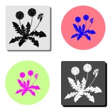 dandelion. flat vector icon stock illustration dandelion. flat vector icon stock illustration