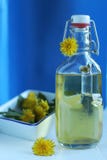 Dandelion syrup - natural medicine royalty free stock photos Dandelion syrup - natural medicine royalty free stock photos