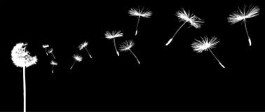 Dandelion in the wind stock illustration Dandelion in the wind stock illustration