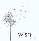 Dandelion wish