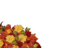 Danksagungs-Silk Fall blüht Ecke Danksagungs-Silk Fall blüht Ecke