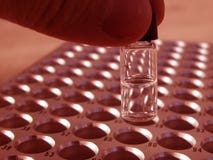 Dans le laboratoire