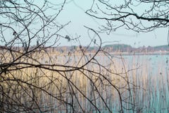 Dans le premier plan il y a les branches d'arbre, à l'arrière-plan est un lac image libre de droits Dans le premier plan il y a les branches d'arbre, à l'arrière-plan est un lac image libre de droits