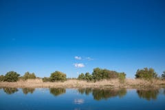Danube Delta royalty free stock images Danube Delta royalty free stock images