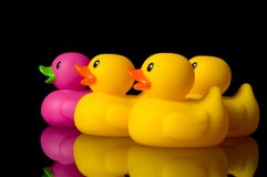 Dare to be different - rubber ducks on black royalty free stock photo Dare to be different - rubber ducks on black royalty free stock photo
