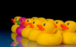 Dare to be different - rubber ducks on black stock photography Dare to be different - rubber ducks on black stock photography