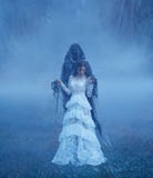 Dark Lord`s Bride in white vintage mesh translucent dress and a silver necklace is standing on the frozen grass in a royalty free stock photos Dark Lord`s Bride in white vintage mesh translucent dress and a silver necklace is standing on the frozen grass in a royalty free stock photos
