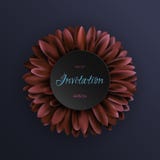 Dark red gerbera flower on dark blue background invitation template Stock Photos Dark red gerbera flower on dark blue background invitation template Stock Photos