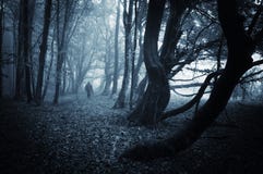 Dark Scene Of A Spooky Man Walking In A Dark Forest With Blue Fog Royalty Free Stock Photography Dark Scene Of A Spooky Man Walking In A Dark Forest With Blue Fog Royalty Free Stock Photography