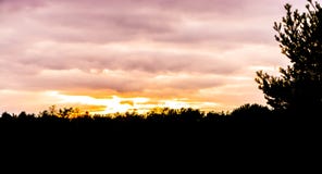 Dark silhouette of a forest landscape scenery at sunset, sundown giving a beautiful effect in the sky and clouds stock photo Dark silhouette of a forest landscape scenery at sunset, sundown giving a beautiful effect in the sky and clouds stock photo
