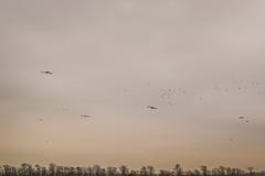 The dark sky and dark clouds, thunderclouds. Autumn sky. royalty free stock photo The dark sky and dark clouds, thunderclouds. Autumn sky. royalty free stock photo