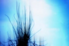 Dark Surreal Electric Stormy Creature stock image Dark Surreal Electric Stormy Creature stock image