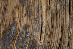 Dark Vertical Close Up Curved Wood Texture Background royalty free stock image Dark Vertical Close Up Curved Wood Texture Background royalty free stock image