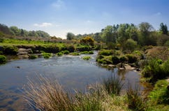 The Dart River In Early Spring Season At Postbridge, Dartmoor Na stock image The Dart River In Early Spring Season At Postbridge, Dartmoor Na stock image