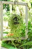 Das alte weiße Feld im Garten mit Weinlesestimmung lizenzfreies stockbild Das alte weiße Feld im Garten mit Weinlesestimmung lizenzfreies stockbild