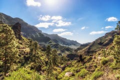 The green valley Barranco de Mogan on Gran Canaria royalty free stock photos The green valley Barranco de Mogan on Gran Canaria royalty free stock photos