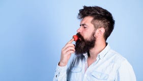 Das ist wie Geschmacksommer Bemannen Sie den hübschen Hippie mit langem Bart Erdbeere essend Hippie genießen saftiges reifes Rot lizenzfreie stockfotos Das ist wie Geschmacksommer Bemannen Sie den hübschen Hippie mit langem Bart Erdbeere essend Hippie genießen saftiges reifes Rot lizenzfreie stockfotos