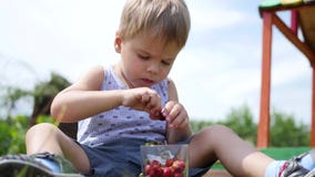 Das Kind sitzt auf dem Rasen und isst die roten Beeren Gartenbeeren Victoria stock footage Das Kind sitzt auf dem Rasen und isst die roten Beeren Gartenbeeren Victoria stock footage