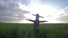Das Kind sitzt auf Elternteilschultern gehend auf Wiesen- und Spielflugzeug mit den Armen, die herein auf Rapssamenfeld auf Hinte stock video Das Kind sitzt auf Elternteilschultern gehend auf Wiesen- und Spielflugzeug mit den Armen, die herein auf Rapssamenfeld auf Hinte stock video