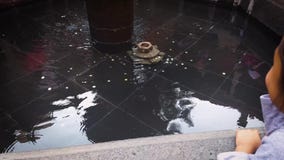 Das Mädchen und der Brunnen stock footage Das Mädchen und der Brunnen stock footage