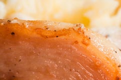 Das perfekte Fleisch für einen Sportler Gebratene gekochte Hühnerbrust mit Gewürznahaufnahme Blasenk?fer Meloe stockfoto Das perfekte Fleisch für einen Sportler Gebratene gekochte Hühnerbrust mit Gewürznahaufnahme Blasenk?fer Meloe stockfoto