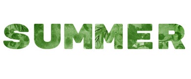 Das Wort ‚Sommer ‚ Grüne Aufschrift auf weißem Hintergrund stockfoto Das Wort ‚Sommer ‚ Grüne Aufschrift auf weißem Hintergrund stockfoto