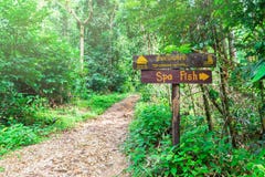 Das Zeichen des Fischbadekurortes im Wald nahe einem Gebirgsfluss Viele Gr?n Thailand, Straße zu Chong Fahrenheits-Wasserfall stockfotografie Das Zeichen des Fischbadekurortes im Wald nahe einem Gebirgsfluss Viele Gr?n Thailand, Straße zu Chong Fahrenheits-Wasserfall stockfotografie