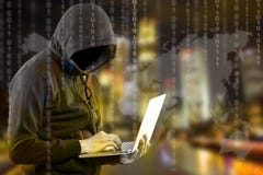 Dat de regard et de recherche de programmeur de pirates informatiques pour l'information d'entaille photo libre de droits Dat de regard et de recherche de programmeur de pirates informatiques pour l'information d'entaille photo libre de droits