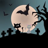 Datación cínica negra del gato con el gato gris romántico durante libre illustration Datación cínica negra del gato con el gato gris romántico durante libre illustration
