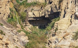 The David Falls at in Nahal David in Ein Gedi in Israel stock photos The David Falls at in Nahal David in Ein Gedi in Israel stock photos