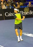 david ferrer zdjęcie royalty free david ferrer zdjęcie royalty free
