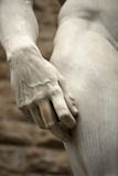 david florence michelangelo Royaltyfria Foton david florence michelangelo Royaltyfria Foton