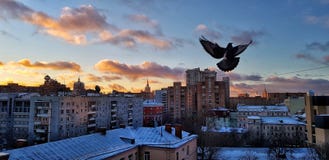 Dawn in Moscow over houses and a beautiful city sunrise reflected in the windows of high-rises and skyscrapers on a frosty winter royalty free stock images Dawn in Moscow over houses and a beautiful city sunrise reflected in the windows of high-rises and skyscrapers on a frosty winter royalty free stock images