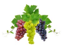 Ddecoration of wine grapes