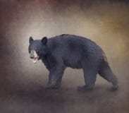 De Amerikaanse Zwarte draagt royalty-vrije stock afbeelding De Amerikaanse Zwarte draagt royalty-vrije stock afbeelding
