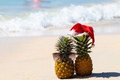 De ananas in glazen en de Kerstmishoed op het wit schuren het overzien van het blauwe overzees royalty-vrije stock afbeeldingen De ananas in glazen en de Kerstmishoed op het wit schuren het overzien van het blauwe overzees royalty-vrije stock afbeeldingen