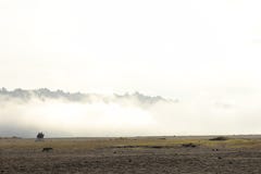 De atmosfeer van de Bromo-bergen in de ochtend, die koud en mistig is stock foto's De atmosfeer van de Bromo-bergen in de ochtend, die koud en mistig is stock foto's