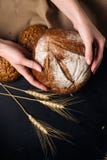 De bakkerijhanden van broodgraangewassen, de vrouw stock foto De bakkerijhanden van broodgraangewassen, de vrouw stock foto