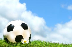 De bal van het voetbal met madeliefje stock fotografie De bal van het voetbal met madeliefje stock fotografie
