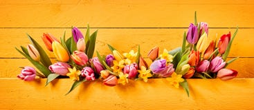 De banner van Pasen of van de Lente met kleurrijke bloemen stock foto De banner van Pasen of van de Lente met kleurrijke bloemen stock foto