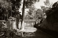 De binnenplaats van de dilapidated tempel complex in Indochina Oude ru?nes in het bos stock foto De binnenplaats van de dilapidated tempel complex in Indochina Oude ru?nes in het bos stock foto