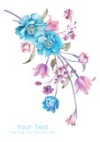 De bloemboeket van de waterverfillustratie op eenvoudige achtergrond royalty-vrije illustratie De bloemboeket van de waterverfillustratie op eenvoudige achtergrond royalty-vrije illustratie